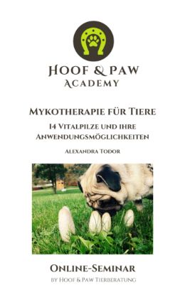 Bild von Online-Seminar "Mykotherapie für Tiere"