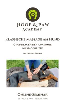 Bild von Online-Seminar "Hundemassage"