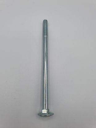 Picture of Torbandschrauben 6x40 10 Stk DIN 603 verzinkt